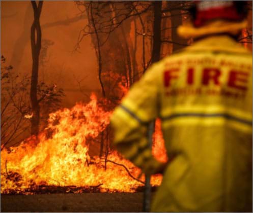 May 13, 2019 by allison fox